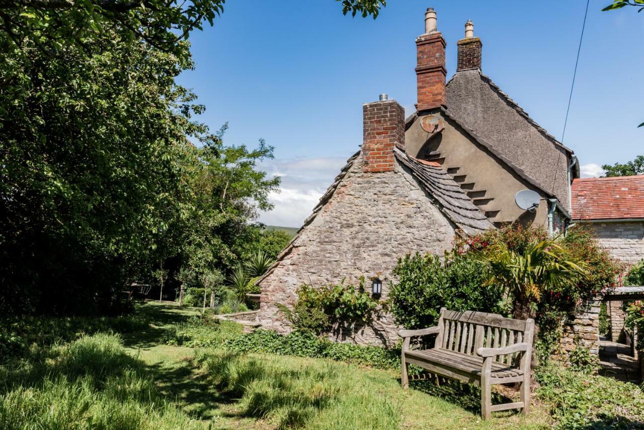 סוואנאייג' Magnificent Clarence Cottage! מראה חיצוני תמונה