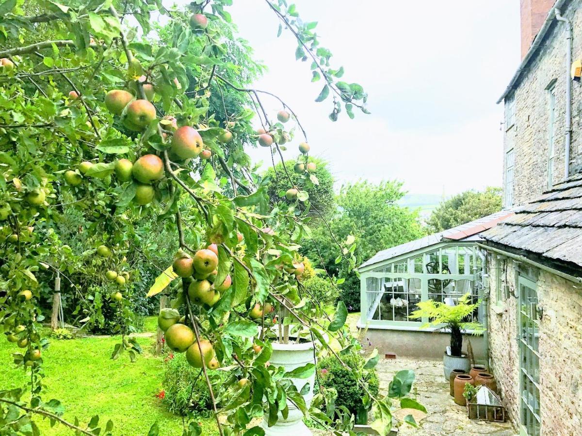 סוואנאייג' Magnificent Clarence Cottage! מראה חיצוני תמונה